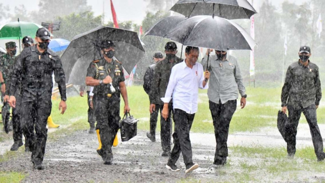 Presiden Jokowi Meninjau Food Estate di Kabupaten Wonosobo Jateng