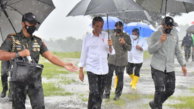 Presiden Jokowi Meninjau Food Estate di Kabupaten Wonosobo Jateng