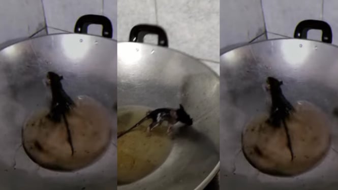 Viral Tikus Tercebur ke Penggorengan