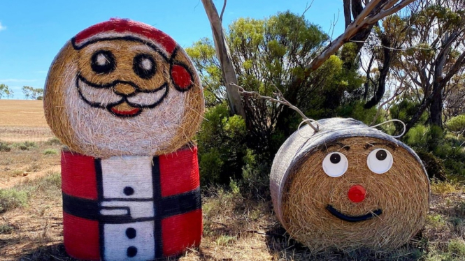 Salah satu dekorasi Natal yang terbuat dari jerami sudah terpasang di lahan pertanian Coppers Coast, Australia Selatan, sejak awal Desember. (Supplied: Emily Donnell)