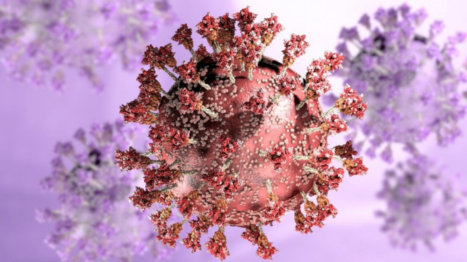 Gambaran virus. Getty Images BBC Indonesia