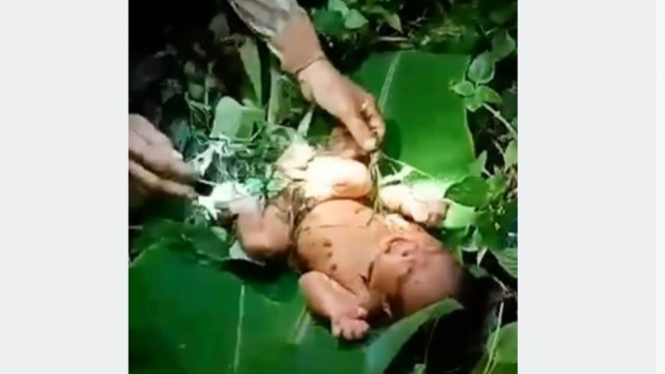 Bayi baru lahir ditemukan terlantar di hutan Thailand.