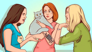 Kuis Tebak Pemilik Kucing hingga Resep Obat Stroke dari Zaidul Akbar