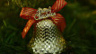 Photo Mini 6