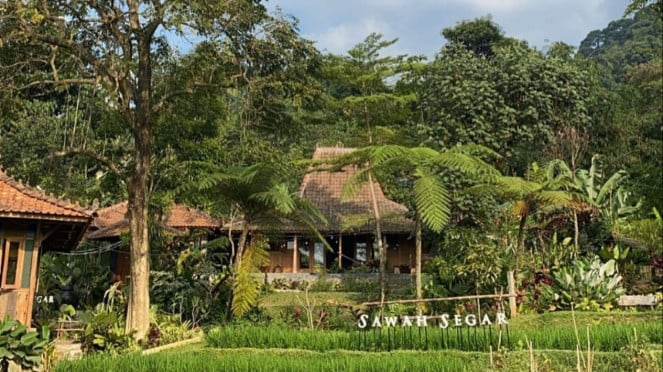 Sawah Segar Sentul