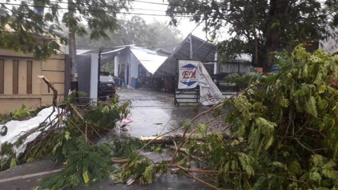 Pohon tumbang menutup jalan di Pudak Payung Semarang.