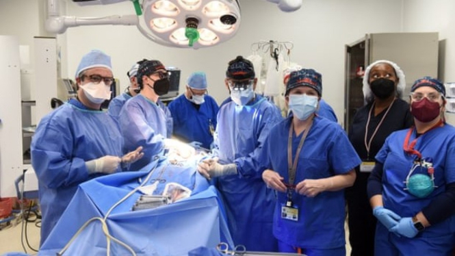 Operasi transplantasi pertama di dunia dari jantung babi 