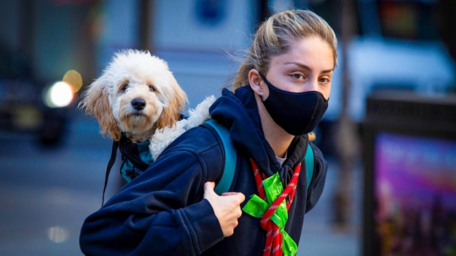 Pihak berwenang di Amerika Serikat belum mengubah petunjuk penggunaan masker,  namun para pakar mengatakan masker kain tidaklah cukup melindungi dari varian Omicron. (Reuters:Â Eduardo Munoz)