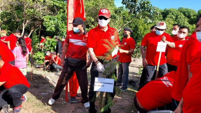 Ketua DPP PDIP Yasonna Laoly mengikuti kegiatan penanaman pohon di Bali