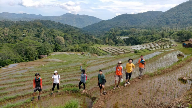 Rice field trail di pesawahan Kecamatan Wae Ri'i