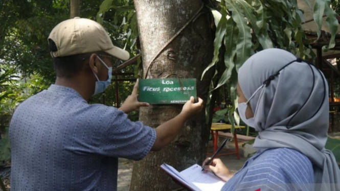 UMM Buka Kelas Pusat Unggulan Minyak Atsiri