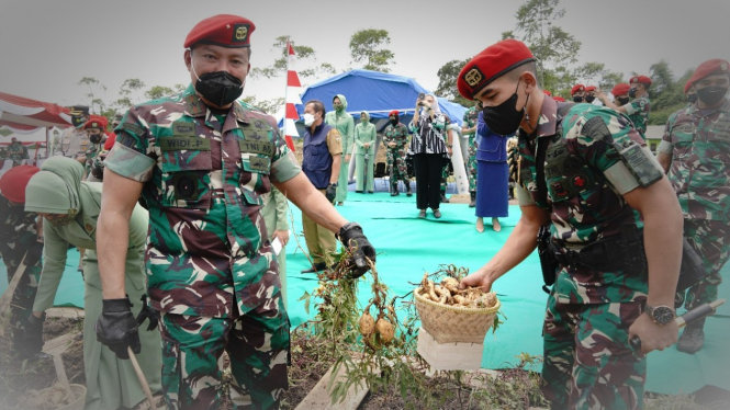 VIVA Militer: Komandan Jenderal Kopassus panen raya.