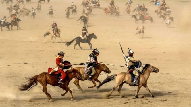 kuda Mongolia