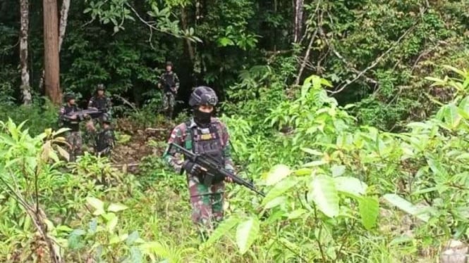 VIVA Militer: Anggota Satgas Pamtas Yonif 711/Raksatama patroli di hutan Papua