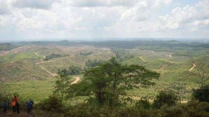 Lokasi Ibu Kota Negara (IKN) di Sepaku, Penajam Paser Utara, Kalimantan Timur 