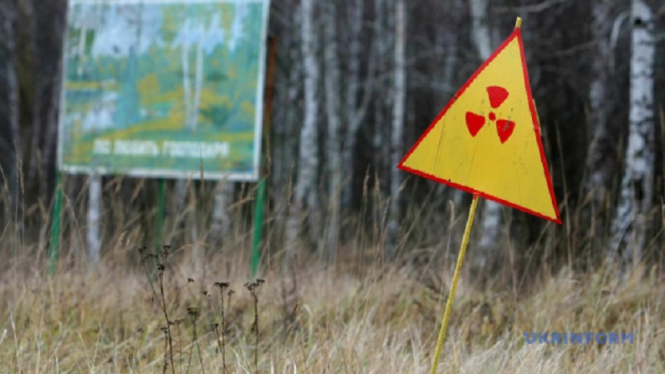 Ilustrasi zona radiasi nuklir Ukraina