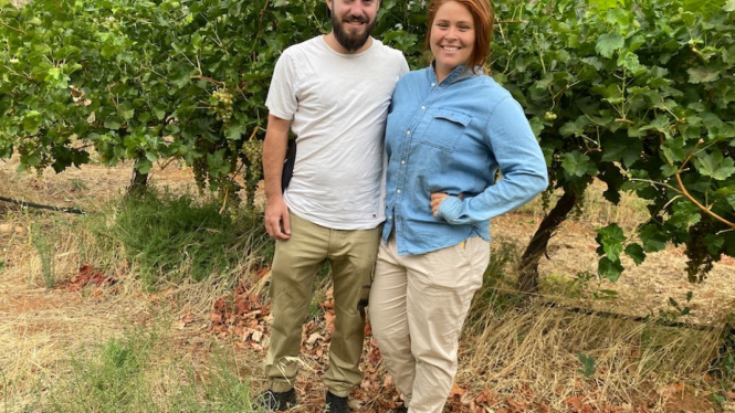 Pasangan asal KanadaÂ Alexane Carpentier (kanan) danÂ Samuel Anderson sudah memulai kerja mereka di Australia di daerah Riverland memetik anggur. (ABC Rural: Eliza BerlageÂ )