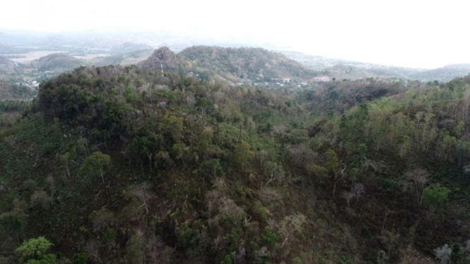 Hutan Bowosie Labuan Bajo, Manggarai Barat, NTT