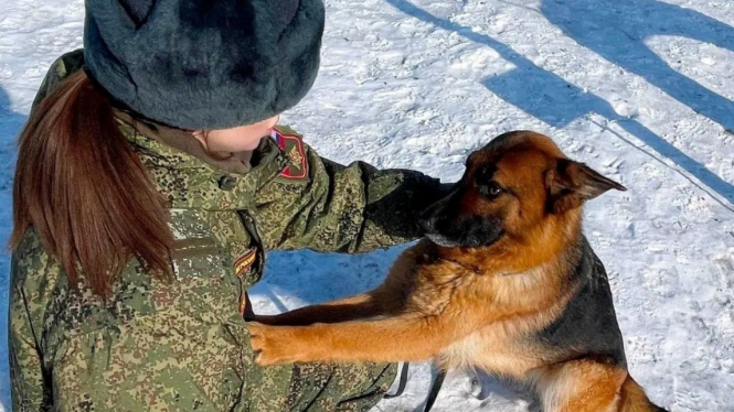 VIVA Militer: Asyik bergumul sama anjing