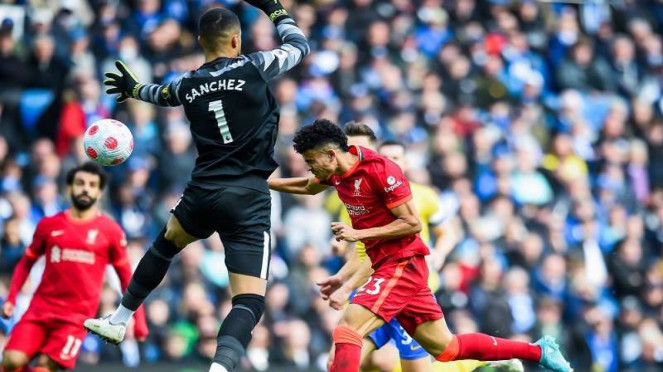 Penyerang Liverpool, Luis Diaz bobol gawang Brighton Penyerang Liverpool, Luis Diaz bobol gawang Brighton