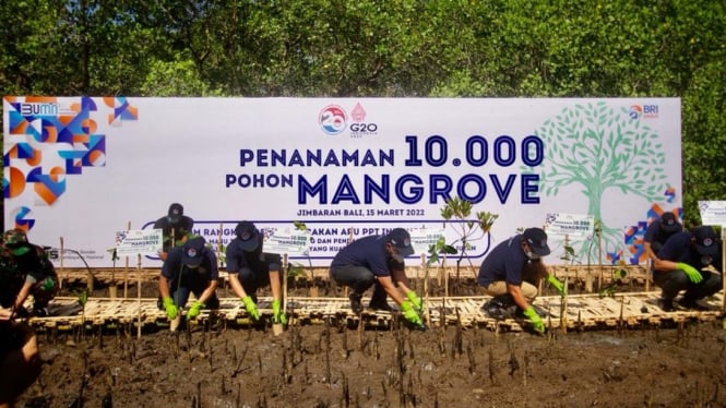 Penanaman 10.000 pohon mangrove, Bali (15/03)