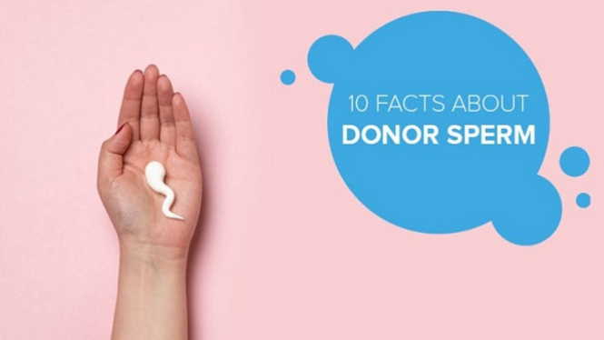 Fakta donor sperma