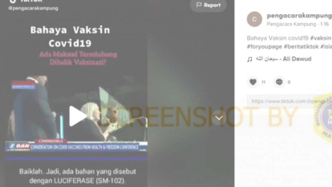 Tangkapan layar (screenshot) sebuah informasi di TikTok yang mengklaim bahwa vaksin mengandung enzim Luciferase yang disebutkan dapat digunakan sebagai alat pelacak dalam tubuh.