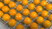 Photo Mini 1