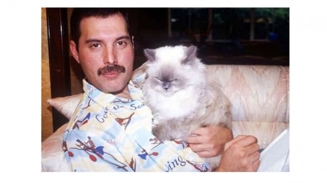 Freddie Mercury Bersama Kucingnya Bernama Tiffany