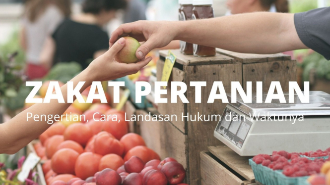 ZAKAT PERTANIAN