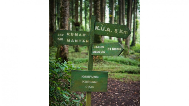 Rumah Kampung Kurcaci