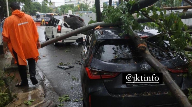 Heavy Rain Hits Jakarta, 2 Cars Damaged by Falling Trees