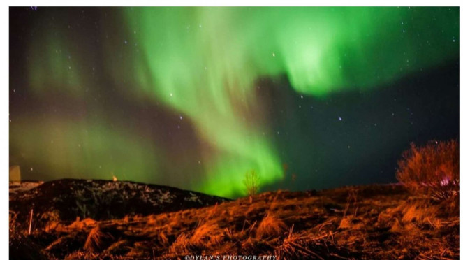 aurora