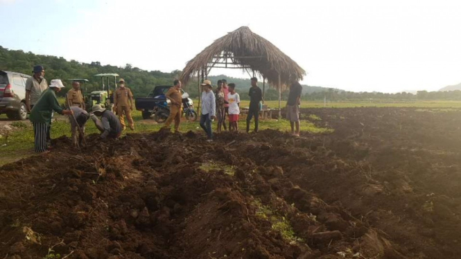 Pembuatan saluran air dan penanaman jagung food estate Presiden Jokowi di NTT