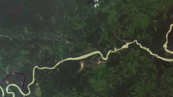 Sungai Amazon dan anak sungainya.