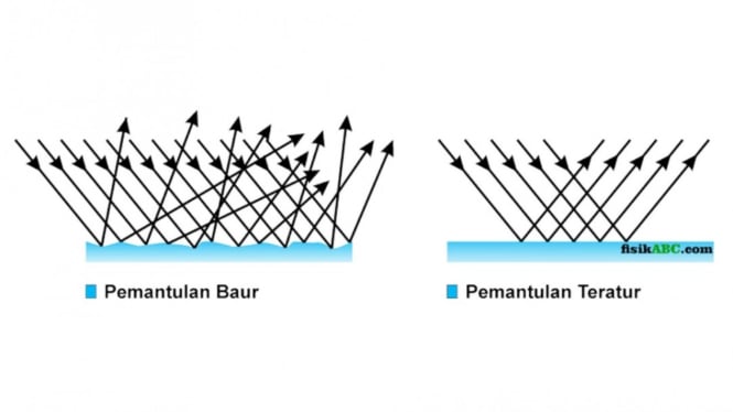 Pemantulan Cahaya Pengertian Hukum Jenis Contoh Dan Rumus Wanieta