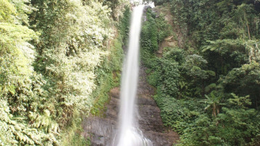 Photo Mini 3