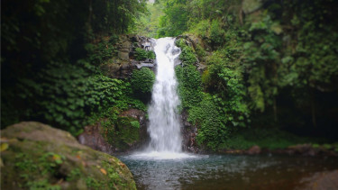 Air Terjun Gitgit, Bali