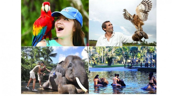 Bali Bird Park