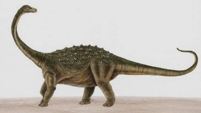 Saltasaurus.