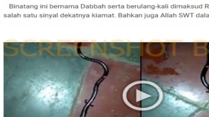 Tangkapan layar (screenshot) sebuah laman yang menampilkan foto seekor hewan menyerupai ular namun memiliki empat kaki yang diklaim sebagai dabbah alias hewan pembawa pesan tanda kiamat.