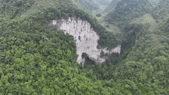 Hutan purba ditemukan tersembunyi di balik lubang raksasa di China.