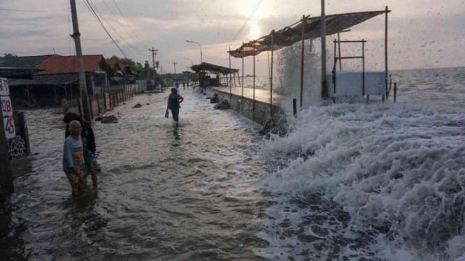 Banjir rob menerjang kawasan pesisir Pekalongan, Jawa Tengah