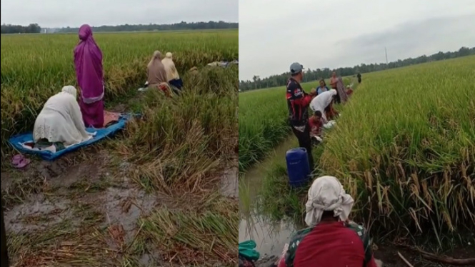 Viral Ibu-ibu Salat di Tengah Sawah