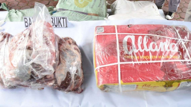 TNI AL tangkap penyelundup daging ilegal dari Malaysia.