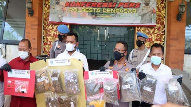 Polisi merilis kasus kepemilikan ganja anak Ketua DPRD Kabupaten Badung Bali