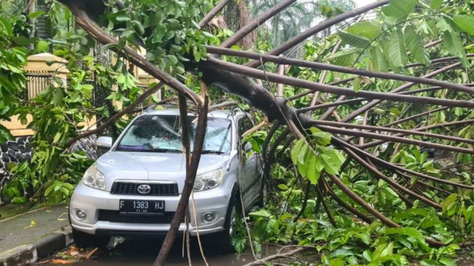 Pohon tumbang dihantam Puting beliung di Kota Depok.