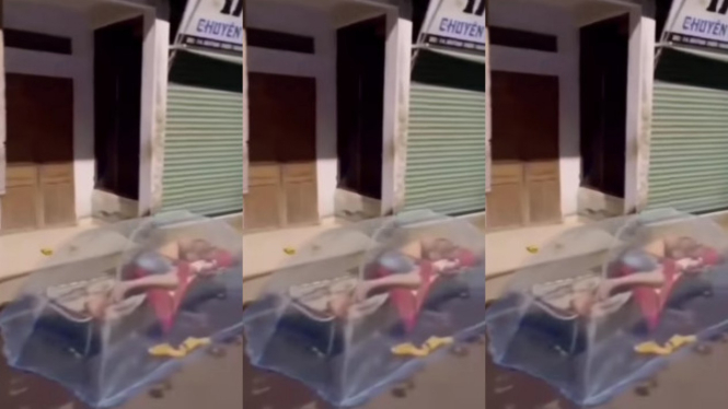 Viral Si Babeh Tidur di Jalan Pakai Kelambu