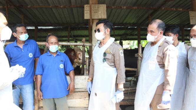 Mentan Syahrul saat meninjau vaksinasi PMK di Desa Mertan, Kecamatan Bendosari Kabupaten Sukoharjo, Sabtu(18/6/22).