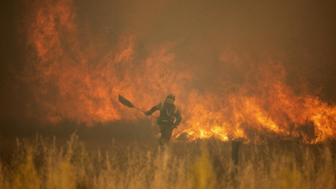 Pemadam kebakaran berusaha memadamkan api di Arraiza, utara Spanyol.